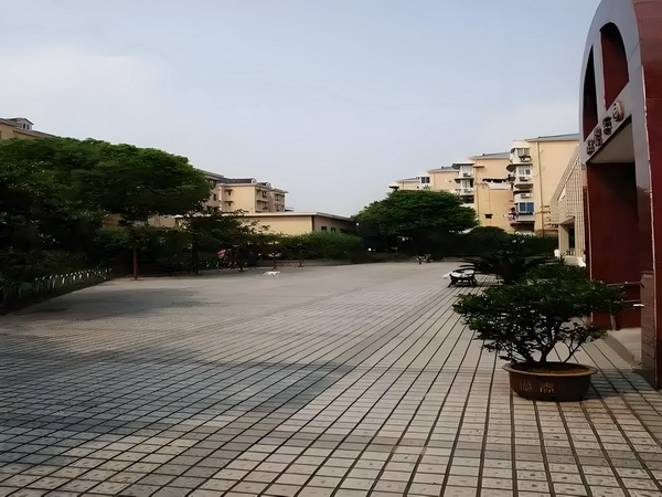老人以送饭为由进小学刺伤11岁孙子已被警方控制